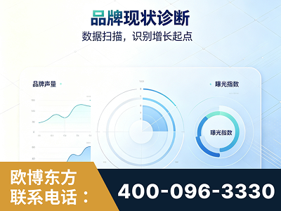 和龙-品牌现状诊断