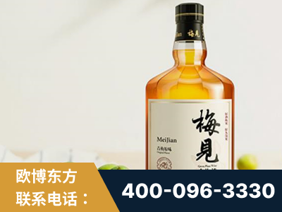 和龙-梅见青梅酒