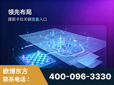 和龙-领先布局：于2024年初开启GEO业务的公司
